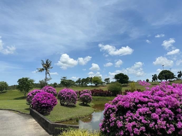 [샘플] [인도네시아 바탐]정통 골프 투어 패키지 상품 - 이미지 7/11